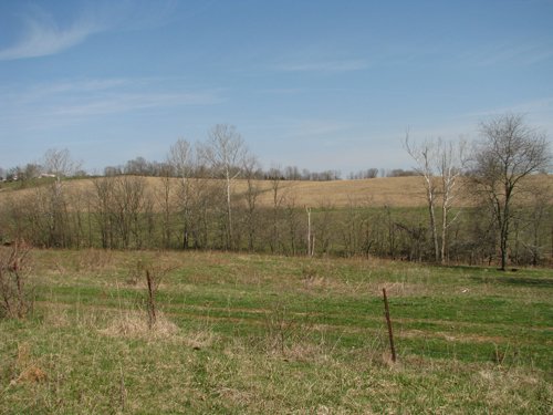 Property photo 4 - 137 Acres in 2 Tracts - 64 Tillable Acres, Potential Building Sites, Hunting